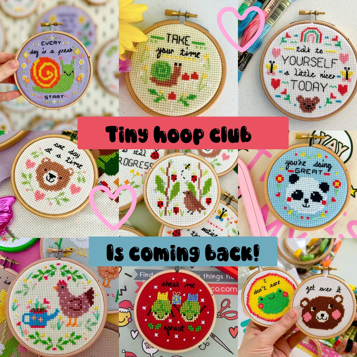 Tiny hoop club - February Monthly box (PRE-ORDER)