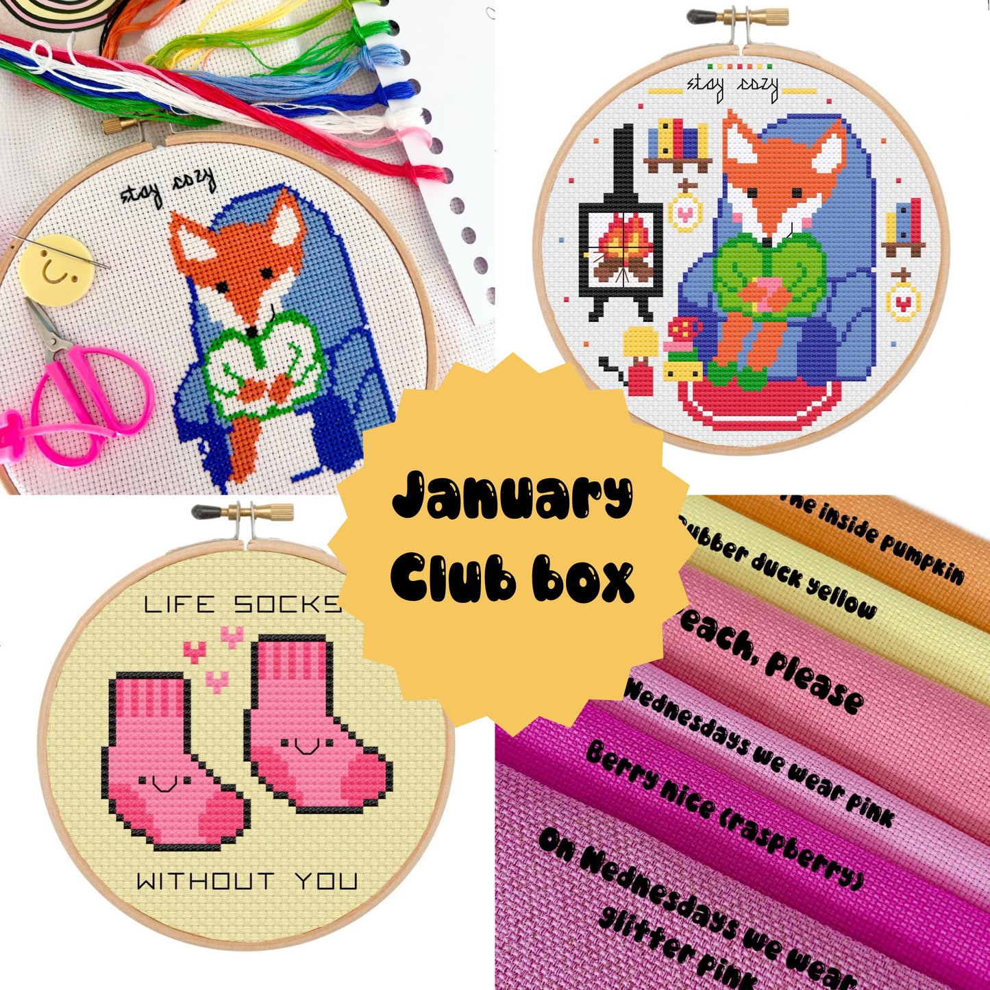 PRE-ORDER - New January club box