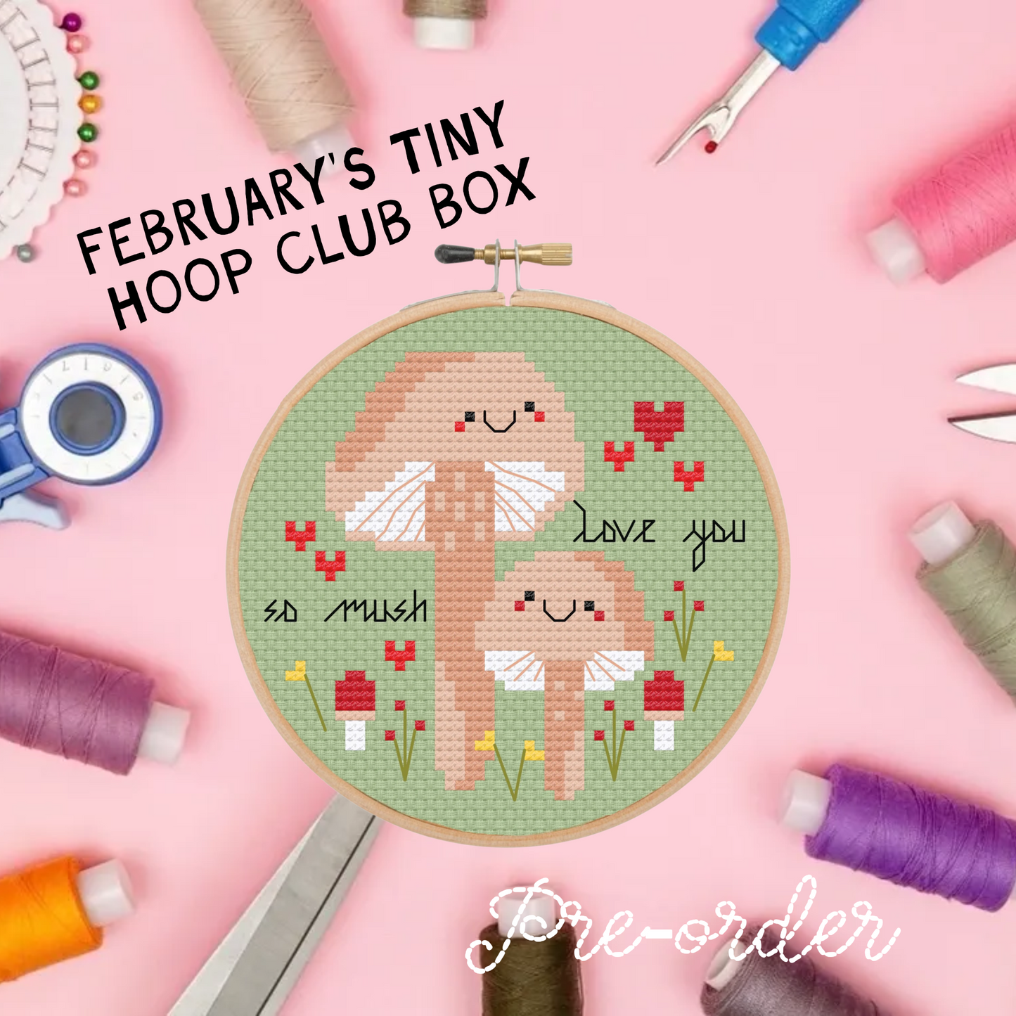 Tiny hoop club - February Monthly box (PRE-ORDER)