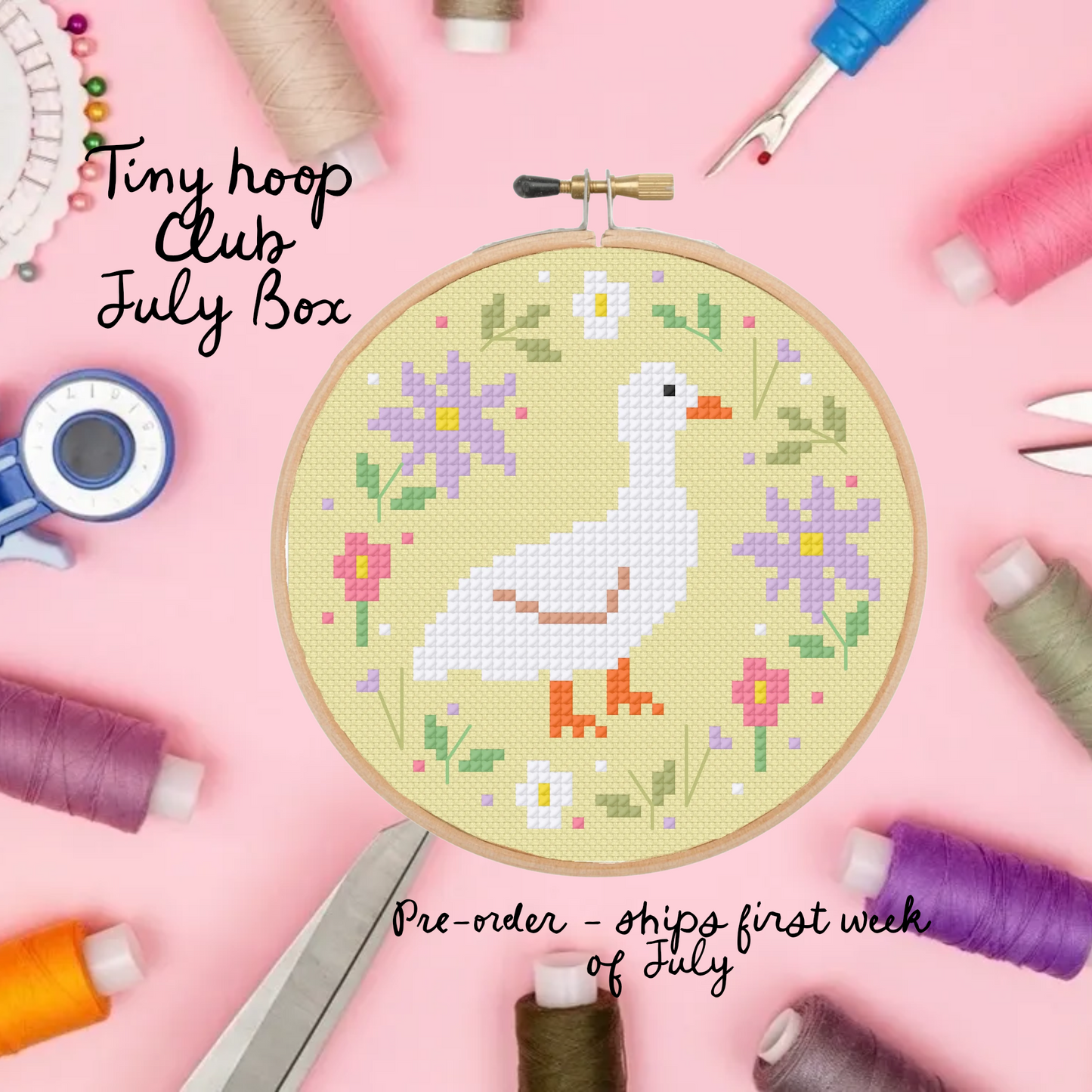 Tiny Hoop club  - July box (PRE-ORDER)