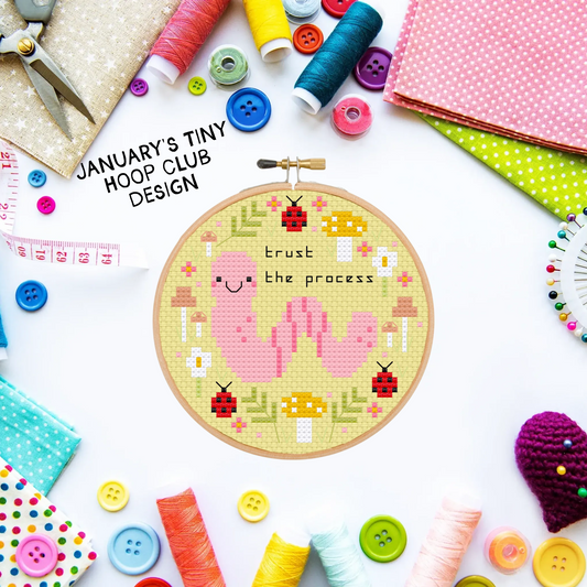Tiny hoop club - January Monthly box (PRE-ORDER)