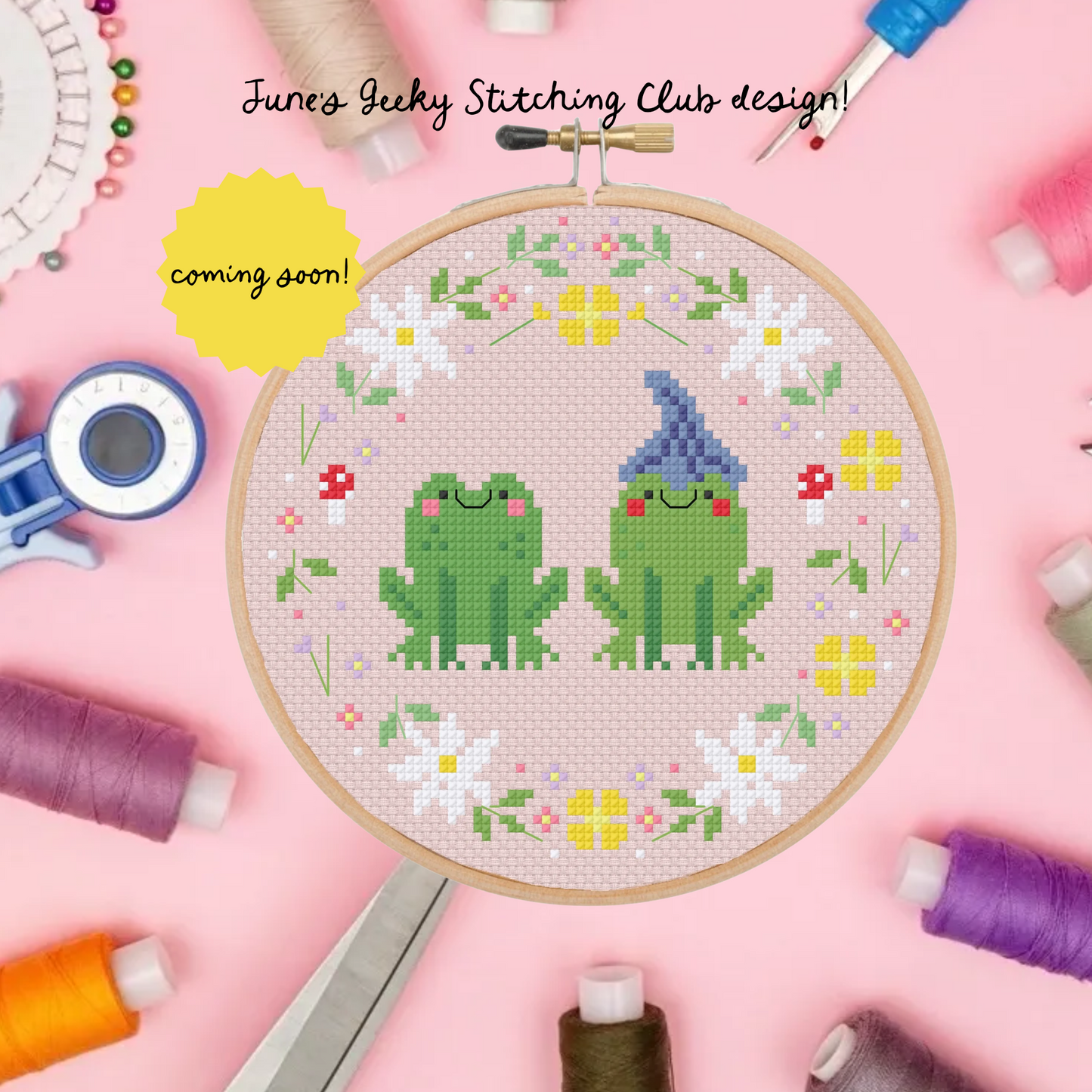 The Geeky Stitching Club box - June Monthly box (PRE-ORDER)