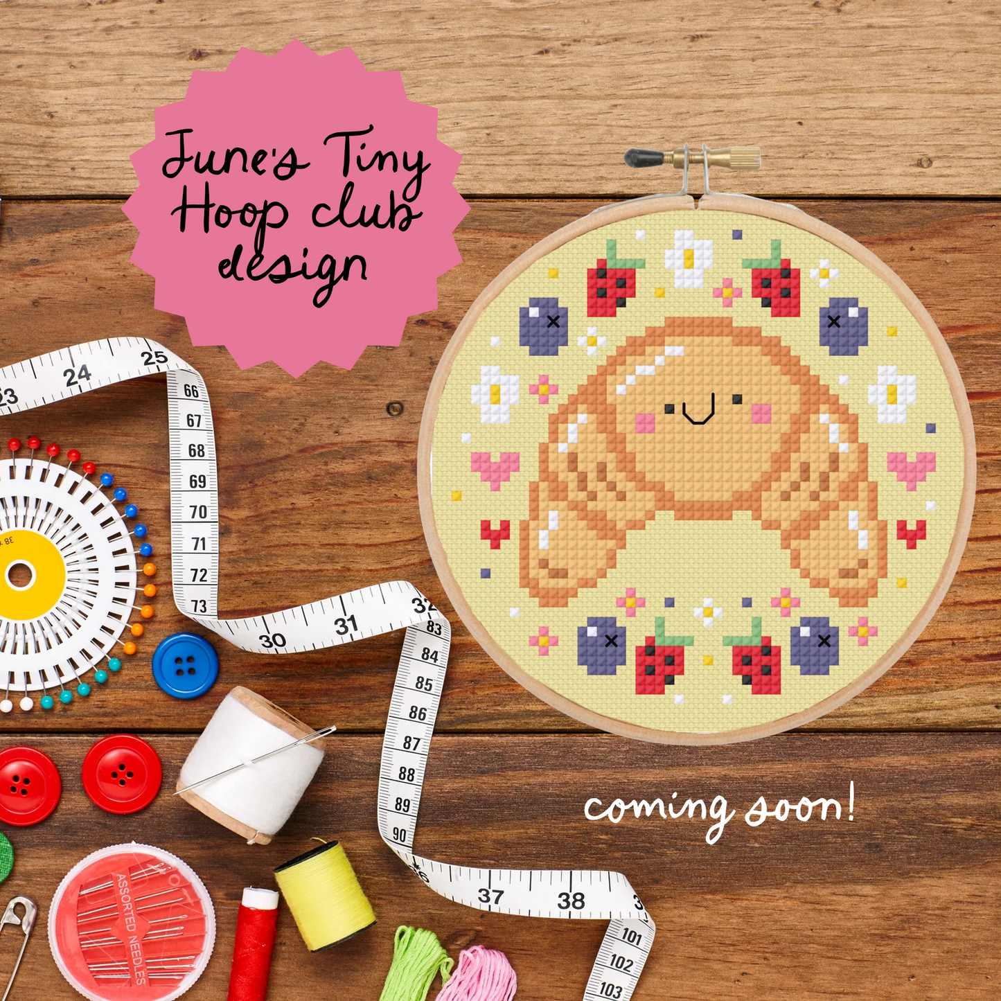 Tiny hoop club -June Monthly box (PRE-ORDER)